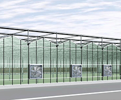 Ӧ������